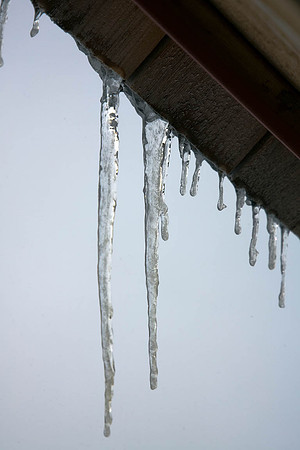 20090313-_AK25443.jpg